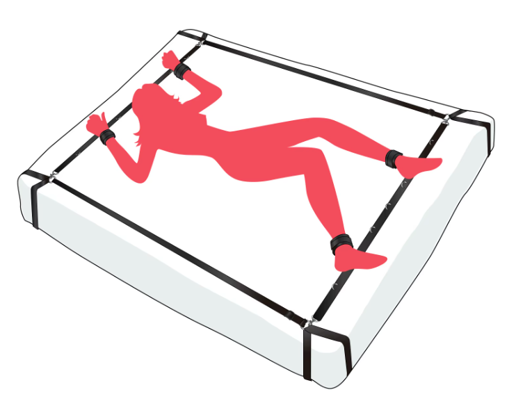 Bed Restraint Kit